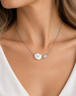 Collar IPPOCAMPO plata plancha mate y circonitas. IPEL103