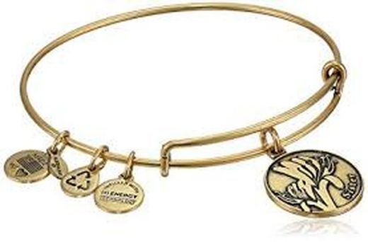 Pulsera ALEX AND ANI  color oro envejecido. A12EB48RG. SISTER