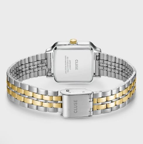 Reloj CLUSE Gracieuse Petite Watch Steel. CW11801