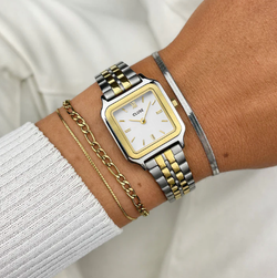 Reloj CLUSE Gracieuse Petite Watch Steel. CW11801