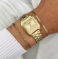 Reloj CLUSE Gracieuse Petite Watch Steel. CW11802