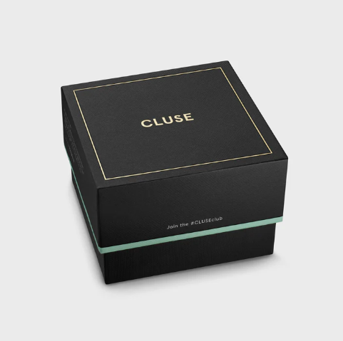 Reloj CLUSE Quadrus Watch Steel. CW25701